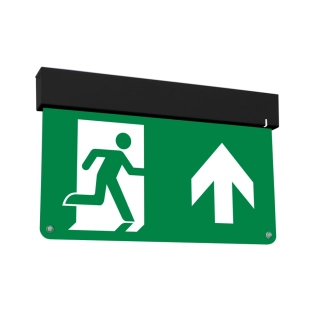 FL41072 Vluchtwegverlichting mini zwart