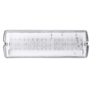 Anti-paniekverlichting 250 Lumen