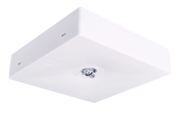 STARLET QUAD SC 150 CB – gangnoodverlichting voor opbouw STARLET QUAD SC 150 CB opbouw-noodverlichtingsarmatuur