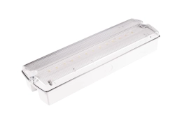 ORION II 250 CB – noodverlichtingsarmatuur ORION II 250 CB noodverlichtingsarmatuur met transparante kap